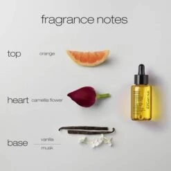 Shu Uemura Essence Absolue Nourishing Soothing Scalp Oil Concentrate 50ml -Haarverzorging Verkoopwinkel shu uemura art of hair essence absolue nourishing soothing scalp oil4